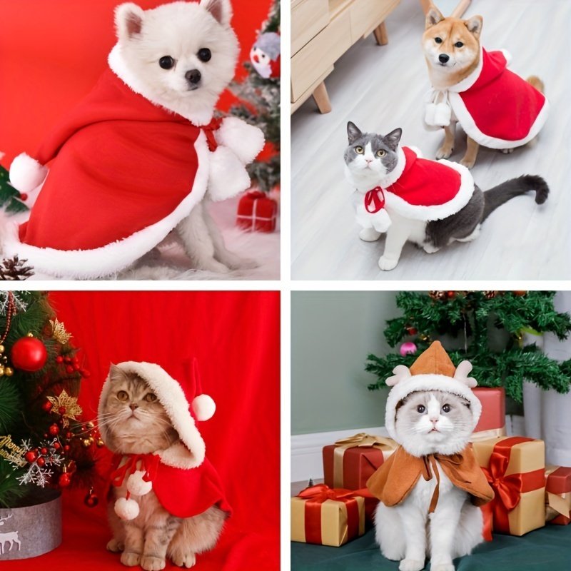 Cat Christmas Outfits